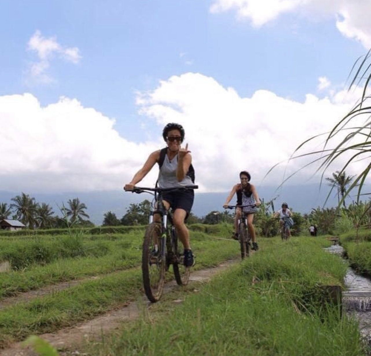 Cyclists riding through green rice fields under a partly cloudy sky.